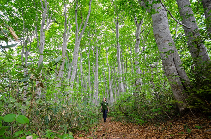 Trusted and Transparent Operations