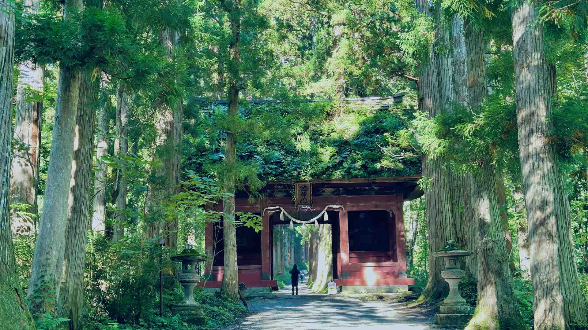 7D6N: Spiritual Trekking to Ancient Shrines and Sacred Places in Nagano